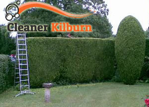 Hedge Maintenance KIlburn