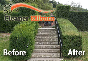 Before and After Hedge Trimmnig